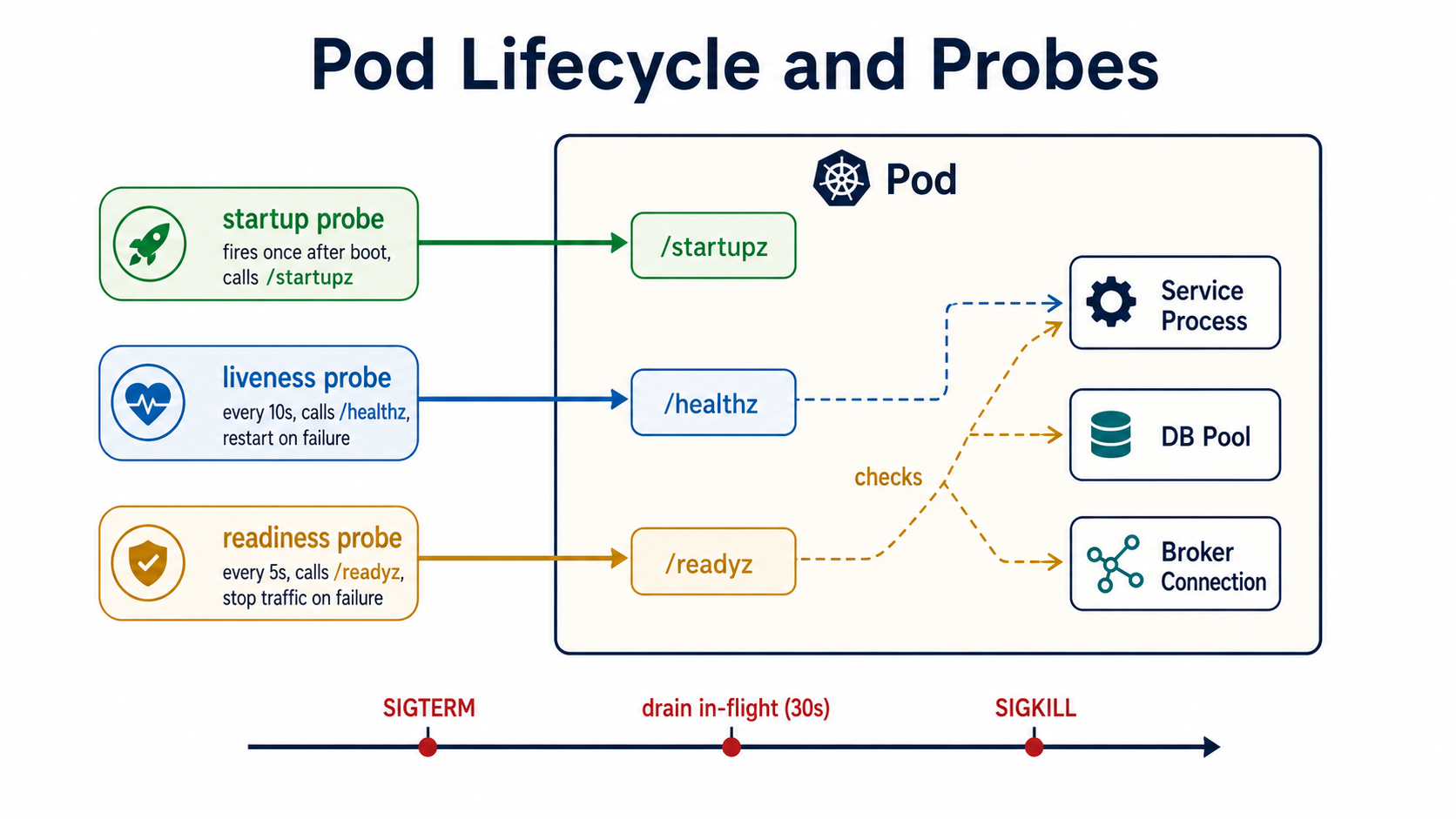 Diagram titled 'Pod Lifecycle and Probes'. Left column: three coloured probe cards (green startup probe fires once after boot via /startupz, blue liveness probe every 10s via /healthz with restart on failure, orange readiness probe every 5s via /readyz with stop-traffic on failure). Right: a Pod box containing three components (Service Process, DB Pool, Broker Connection); each probe arrow points to /startupz, /healthz, /readyz endpoints. Readiness fans out to all three components; liveness reaches the service process only. Bottom timeline strip: SIGTERM, drain in-flight (30s), SIGKILL.